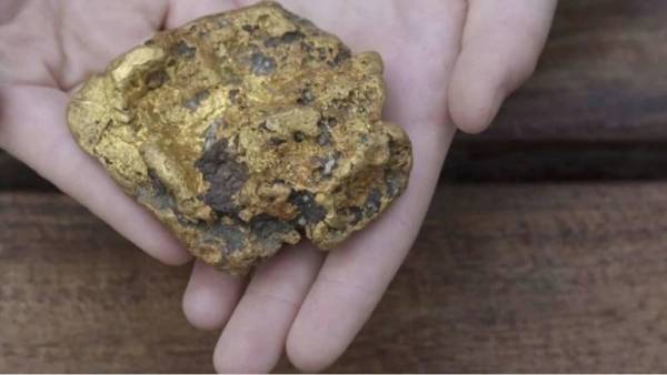 نزهة في الهواء الطلق تهدي عائلة كنزاً من الذهب .. ( تفاصيل)