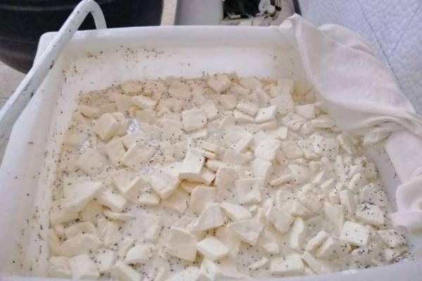 جرش: اغلاق مصنع البان لاستخدامة مواد مسرطنة (صور)