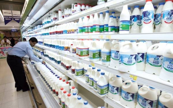 الحكومة أعفت الألبان المستوردة من الضرائب وفرضتها على المحلي