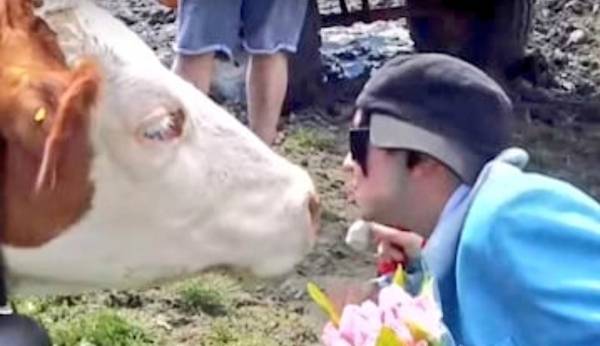 بالفيديو.. النمسا تحذر مواطنيها من المشاركة في تحدي تقبيل البقر