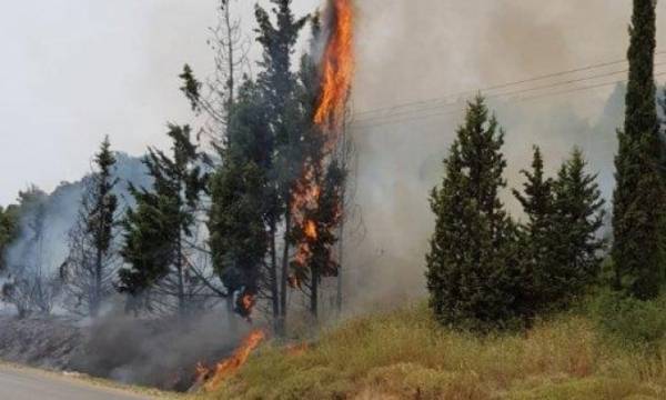 السيطرة على حريق بمساحة (50) دونم في وقاص