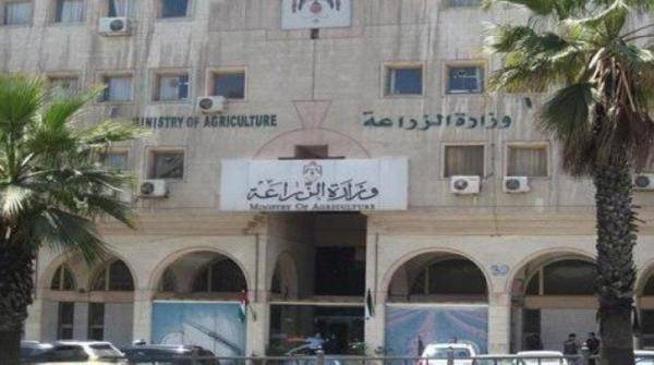 الزراعة تنفي تفويض أراض للحراج لأشخاص او مؤسسات