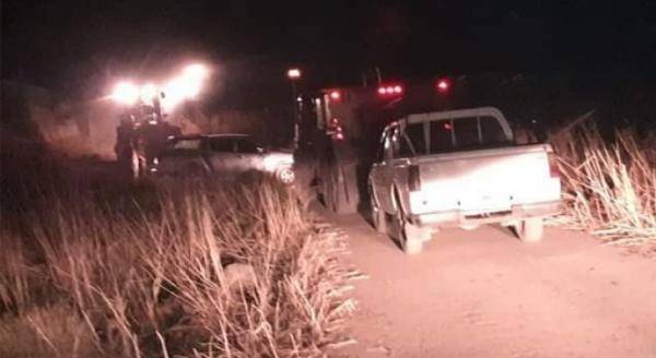 الزراعة: حريق الاغوار أضر بالاشجار الحرجية والثروة الحيوانية