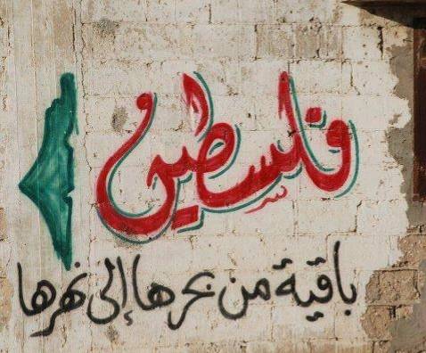 احمد الطيب يكتب : الرؤيا لدينا واضحه ومواقفنا لا تتغير … فلسطين ليست للبيع