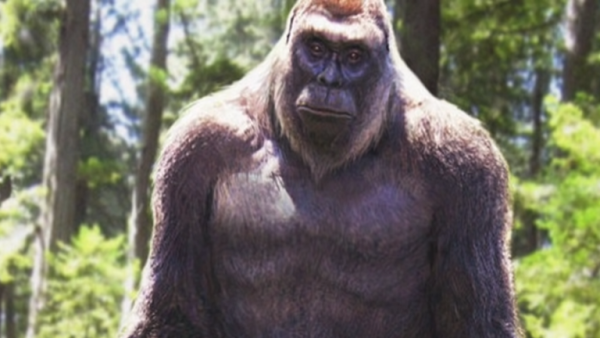 من جديد.. الوحش البشري الغامض يتعرض لشابين في الولايات المتحدة!