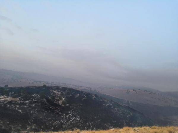 الزراعة تدعو للابلاغ عن مفتعلي الحرائق