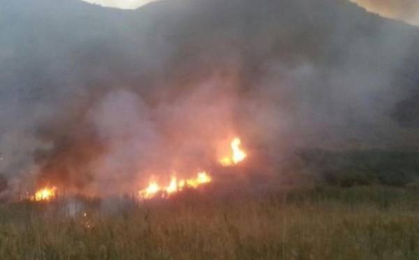 تضرر 900 دونم قمح وشعير شرق اربد