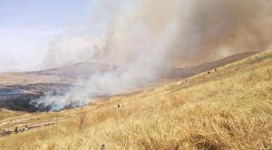 اخماد حريق أعشاب جافة و أشجار مثمرة في محافظة الطفيلة