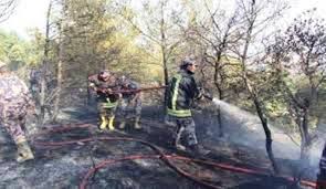 عجلون : اخماد حريق بمنطقة باعون