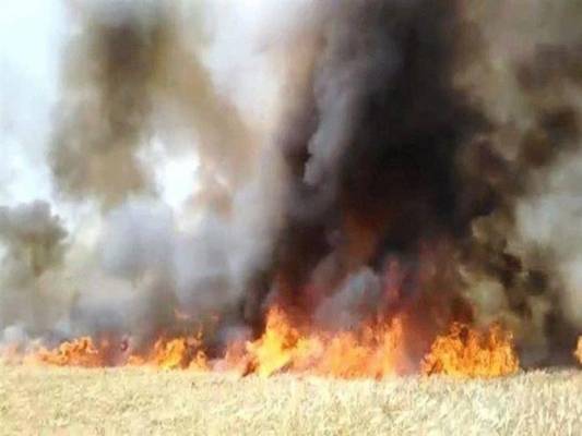 نائب عراقي يوجه اتهامات خطيرة للاردن بخصوص حرق المحاصيل الزراعية