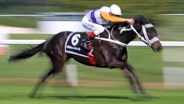 هكذا احرج حصان جامح فارسه في روسيا .. (فيديو)