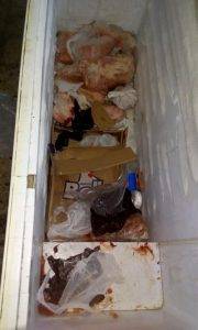 زرقاوي في حي معصوم يستخم شقته للحوم الفاسدة..والبلدية تضبط 100 كغم