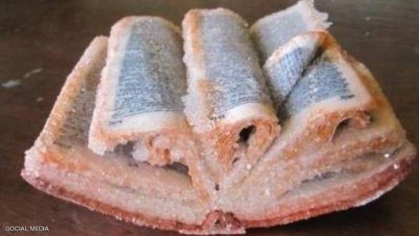 كتاب مقدس في قاع المحيط.. الحقيقة تتكشف