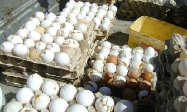 تحويل 14 جهة للمدعي العام في قضية البيض الفاسد