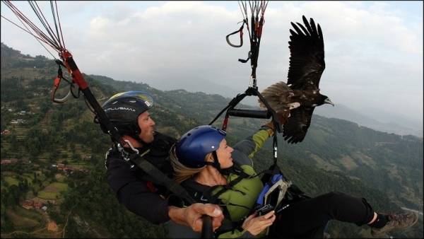 فيديو صادم لطائرة شراعية ترتطم بسيارة لكزس!