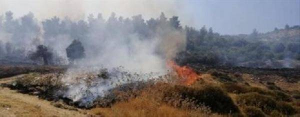 اخماد حريقي أعشاب جافة وأشجار حرجية في محافظتي العاصمة وعجلون