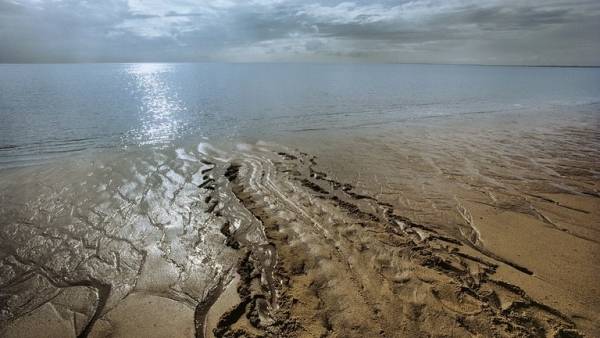 إندونيسيون يتنقلون على ظهر حيوان برمائي نادر! (فيديو)