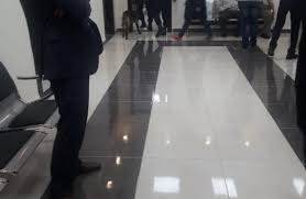 الامن العام حول استخدام الكلاب البوليسية قبيل زيارة الرزاز لاربد اجتهاد شخصي