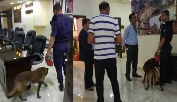 هل يفسر الباشا الحمود المقصود بـالاجتهاد الشخصي في حادثة استخدام الكلاب البوليسية ؟!