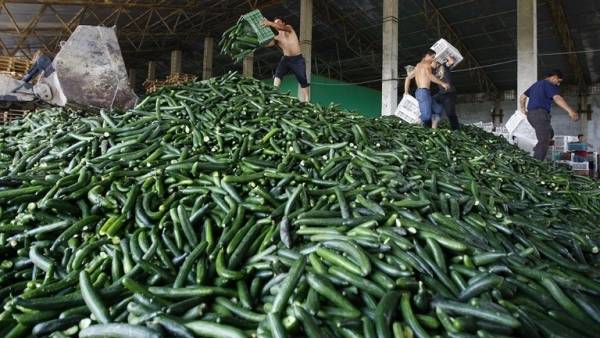 الخيار بدلا من الأدوية