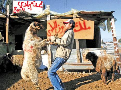 حماية المستهلك تطالب بتشديد الرقابة على أماكن بيع الاضاحي