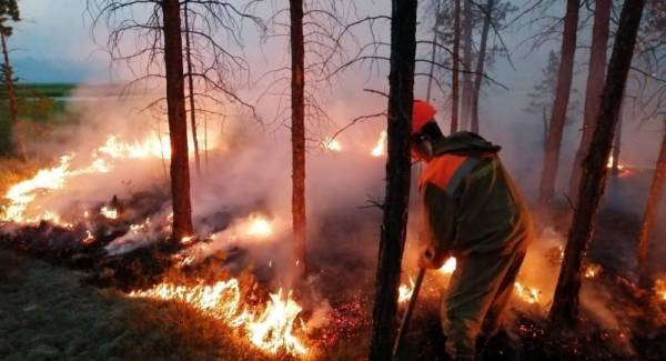الكشف عن حقائق مثيرة حول حرائق الغابات في سيبيريا