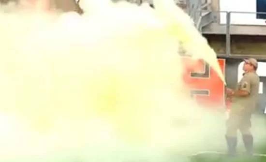 بالفيديو أسراب نحل تهاجم مباراة في الدوري البرازيلي وتوقفها