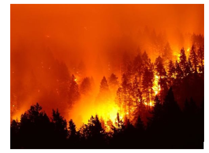 ما هو تأثير حرائق غابات الامازون على طقس ومناخ الشرق الأوسط والخليج العربي؟