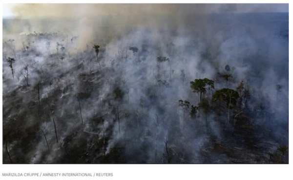 وزير المياه والري الأسبق حازم الناصر يكتب هل حرائق الأمازون تعنينا