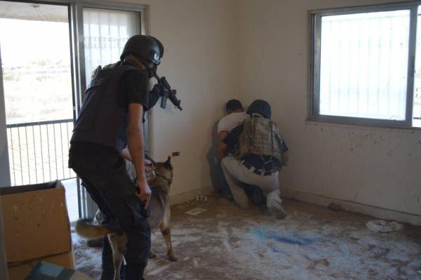 القبض على مطلوب بحقه٤٤ طلب ومتواري عن الانظار منذ ثلاث سنوات