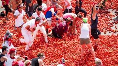 شاهد.. 20 ألف إسباني يتراشقون بـ145 طنا من الطماطم