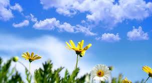 انخفاض طفيف على درجات الحرارة