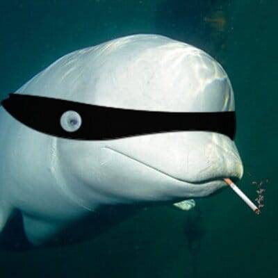 هذه «الحيتان» أخطر يا دولة الرئيس