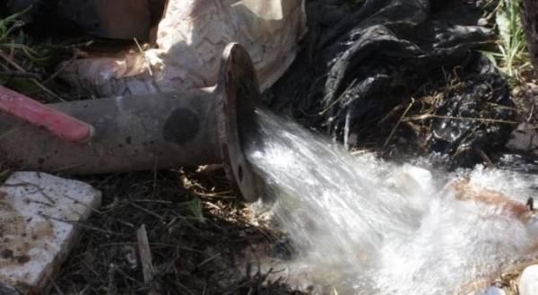 مدعي عام الجيزة يوقف مالك مزرعة في اللبّن .. والسبب ؟!