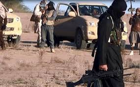 «داعش» يفخخ بقرتين ويفجرهما في العراق