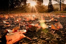 انخفاض الحرارة واجواء خريفية لمساء الاثنين