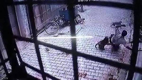 عصابة قرود تحتل قرية هندية.. والسكان في رعب