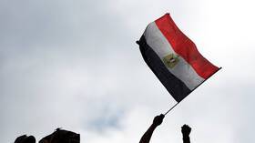 مصر: القضية الفلسطينية لا تزال بوصلة القضايا في الشرق الأوسط