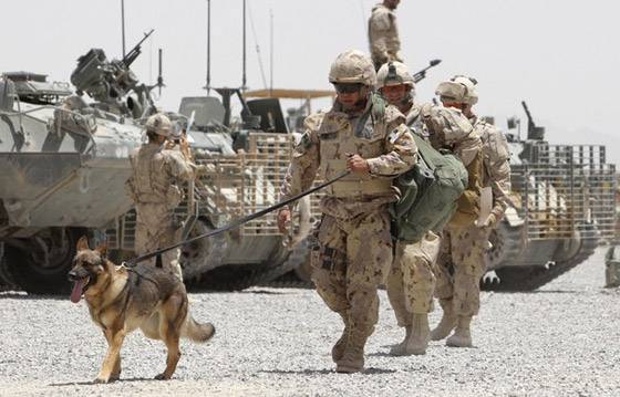 واشنطن ترفض الكشف عن اسم كلب أصيب في عملية قتل البغدادي