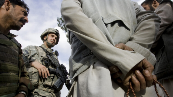 كلب البغدادي وغراب بن لادن!