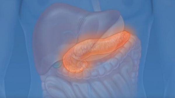 اكتشاف فائدة غير متوقعة للكوليسترول