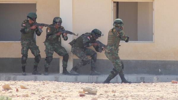 الجيش المصري يعلن عن تصفية (83) مسلحا