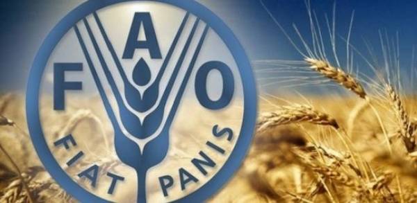 الفاو تبحث التعديات على الغابات في جرش