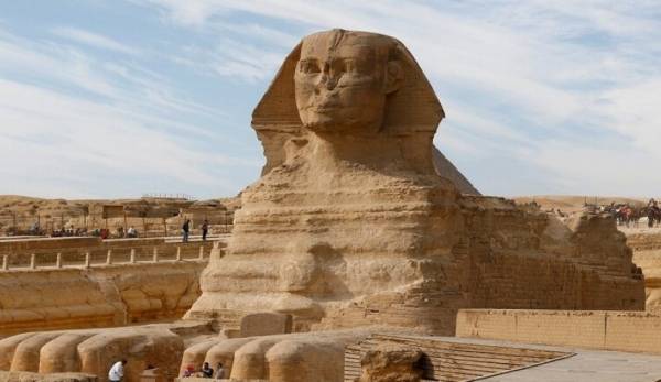 اكتشاف حيوان غريب فی مصر