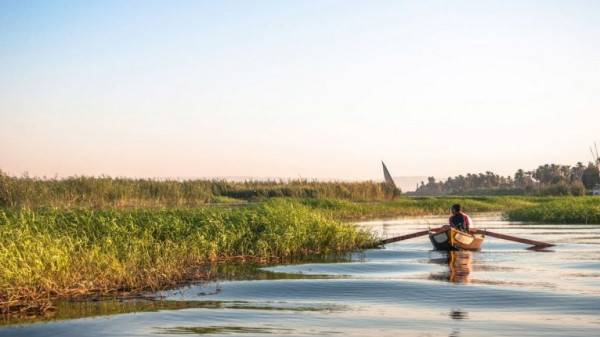 مصرية تلقي بطفلها في نهر النيل لإنقاذه من جدته