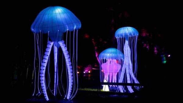 مصابيح الحيوانات البحرية تضيء باريس