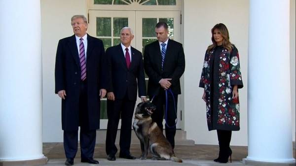 ترامب يكرم الكلب البطل كونان في البيت الأبيض (فيديو)