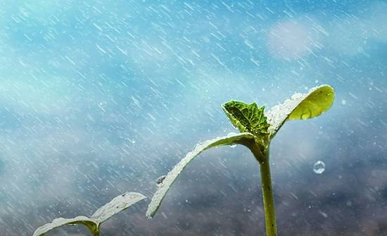 الافتاء توضح كيفية صلاة الاستسقاء