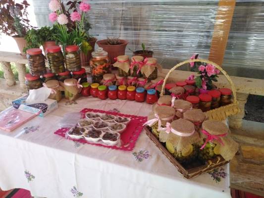 مدير عام المركز الوطني للبحوث الزراعية يتفقد نشاطات محور مدارس المزارعين الحقلية في ديرعلا