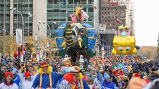 عيد الشكر الأمريكي: رحلة الديك الرومي إلى مائدة العشاء